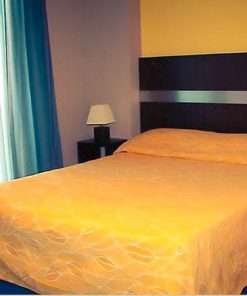 Alternative view of Hôtel Choiseul